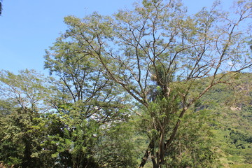 Paisaje rural del occidente de Antioquia, Colombia