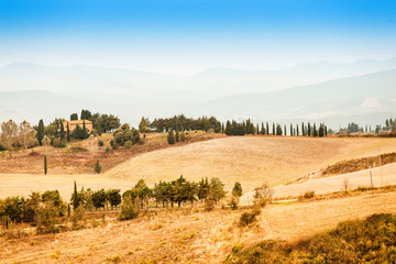 Fototapeta na wymiar Classical Autumn Landscape in Tuscany, Italy