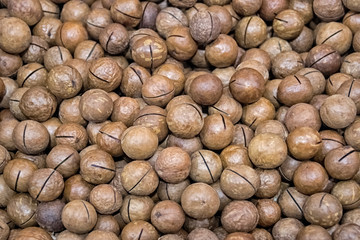 Lots of inshell macadamia nuts on the market counter