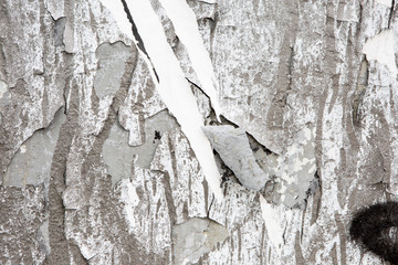 Old Weathered Plastered Peeled Interior Wall Background. Cracked Flaked Shabby Wall With Rundown Stucco Layer Texture.