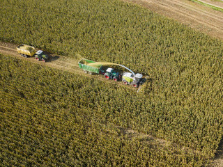 mechanized corn harvesting in Europe, Germany drone perspective