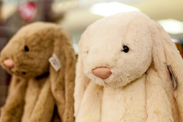 Two stuffed toy rabbits with sad faces in a toy store
