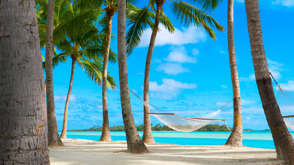 COPY SPACE: Gentle summer breeze swinging the rope hammock under the palm trees.