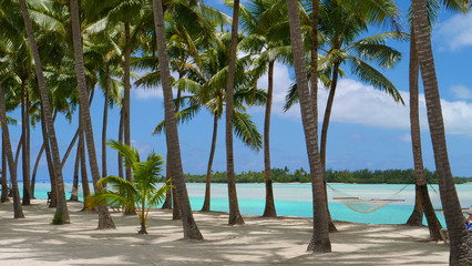 COPY SPACE: Three hammocks and beach chairs on the sandy beach under palm trees.