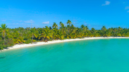 DRONE Lush green exotic vegetation covers the beautiful remote island in Pacific