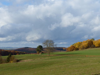 Fototapeta premium Landschaften im Herbst bei Morshausen / Hunsrück