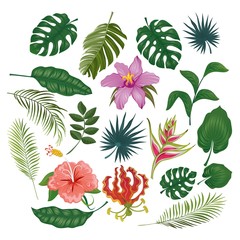 Leuke tropische stickers en etiketten op witte achtergrond. Zomer set bladeren en bloemen. vector illustratie