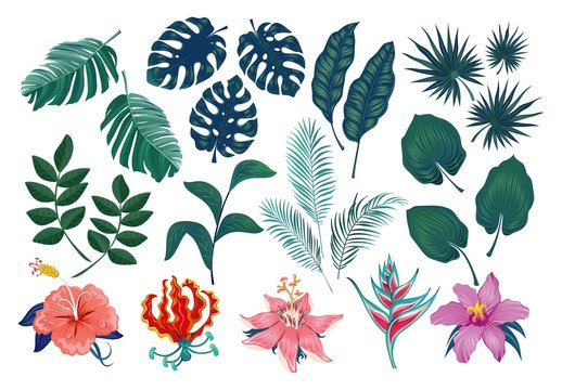 Cute tropical stickers and labels. Summer set of leaves and flowers. Vector illustration
