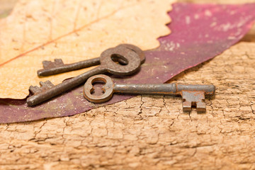 Skeleton Keys with Leaves