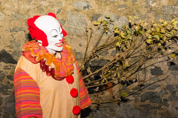 Halloween Grusel-Clown