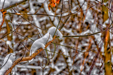 Winter sketches. Fluffy snow on houses, fences and other buildings.