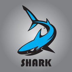 vector shark logo