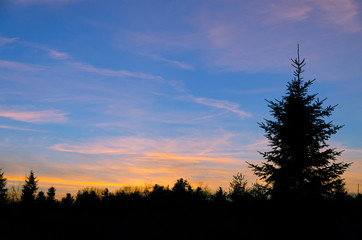 red and orange clouds