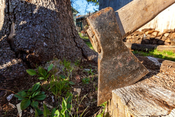 Axe in stump. Axe ready for cutting timber. Woodworking tool. Lumberjack axe in wood, chopping timber. Travel, adventure, camping gear, outdoors items