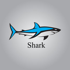 vector shark logo