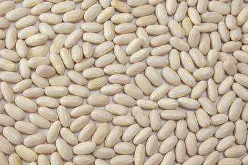 background of white beans
