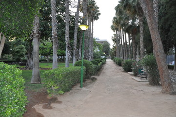 The Most Beautiful Garden Photos