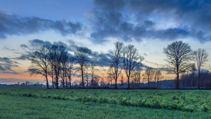 Rural scenery wit trees and a beautiful sunset, Weelde, Belgium.