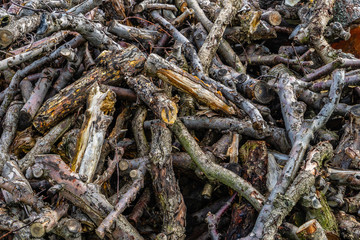 Pile of wood, tree branch or log,