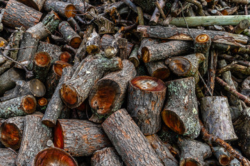 Pile of wood, tree branch or log,