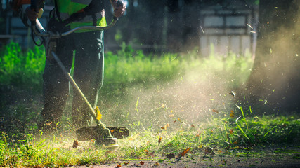 The gardener mows weeds. small parts of vegetation scatter in different directions