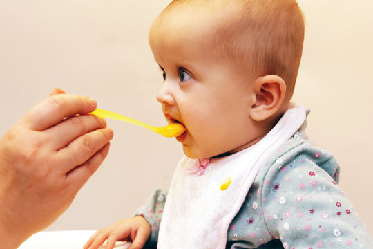 Adult Feeding Baby - Stock Image / Baby, Eating, spoon, Human Hand, One Parent