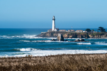 Fototapeta premium Pigeon Point Lighthouse, landscape view with brush and ocean waves in the foreground, on a clear sunny day on the California Coast