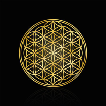 Golden Flower of Life, used for decoration or golden pendant. Geometrical symbol on black background.
