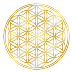 Golden Flower of Life, used for decoration or golden pendant. Geometrical symbol on white background.
