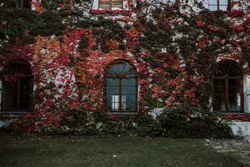 Gradient of the seasons