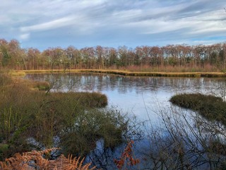 Winter scene over lake created by sand pit, Cheshire, uk