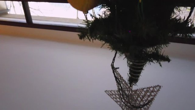 Christmas tree. 4k Video
