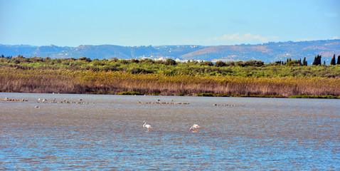 Vendicari Nature Reserve Sicily Italy