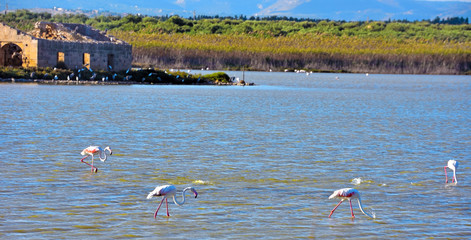 Vendicari Nature Reserve Sicily Italy