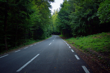 Obraz premium Forest road on a cloudy day