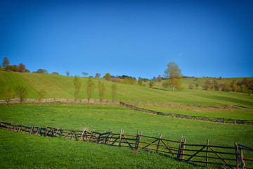 rural landscape in tuscany