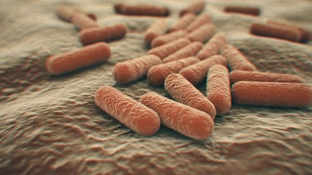 4K Microscopic view of a bacteria colony. Medically accurate with realistic jitter.