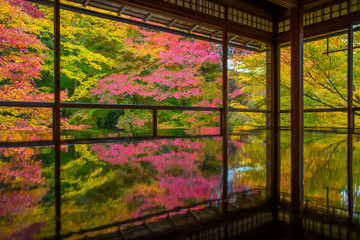 晩秋の瑠璃光院