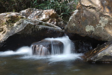 waterfall in forest