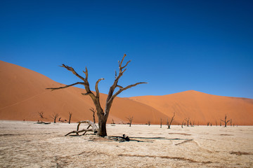 Dead Vlei: a nature wonder in the Namian Desert