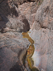 Monument Creek in Grand Canyon National Park, Arizona.