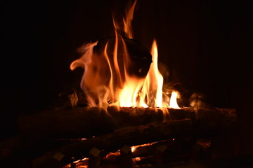 Fireplace 2