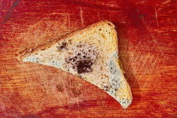 damaged dried bread covered with mold, a series of images