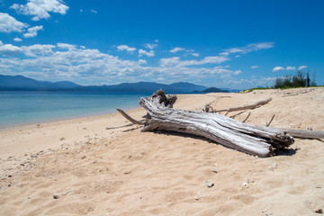 Bleached driftwood lies on a white sand tropical island beach