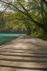 Pasarela de madera a ras del suelo en perspectiva bordeando lago en Parque Nacional Plitvice.