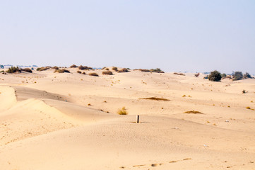 Fototapeta na wymiar Sand dunes and dried bushes in the Thal desert