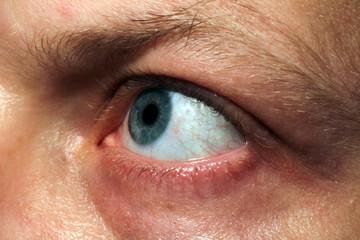 Obraz premium Human blue eye.