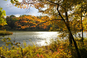 Cornell University Ithaca New York Campus Photos