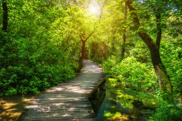 Gordijnen Krka national park wooden pathway in the deep green forest. Colorful summer scene of Krka National Park, Croatia, Europe. Wooden pathway trough the dense forest near Krka national park waterfalls. © daliu