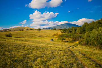 landscape with wheat field and blue sky